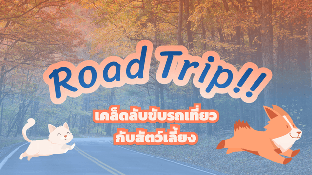 Road Trip!!! ใครพร้อมขับรถเที่ยวยกมือขึ้น ขับรถเที่ยวยังไงให้ปลอดภัย ฉบับคนเลี้ยงหมาแมว!🐶😺