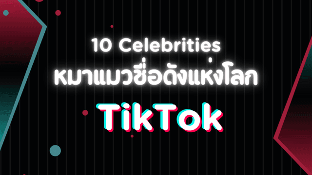 10 เซเลบหมาแมวชื่อดังแห่งโลก TikTok ชาวต๊อก ๆ อย่าลืมไปติดตามความน่ารักกัน!